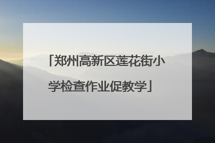 郑州高新区莲花街小学检查作业促教学