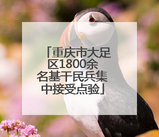 重庆市大足区1800余名基干民兵集中接受点验