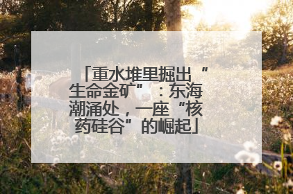 重水堆里掘出“生命金矿”：东海潮涌处，一座“核药硅谷”的崛起