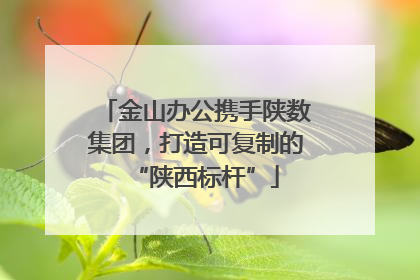 金山办公携手陕数集团，打造可复制的“陕西标杆”