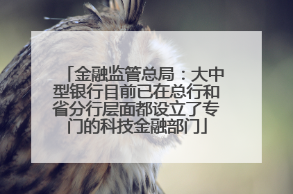 金融监管总局：大中型银行目前已在总行和省分行层面都设立了专门的科技金融部门