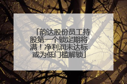 韵达股份员工持股第一个锁定期将满！净利润未达标或为低门槛解锁