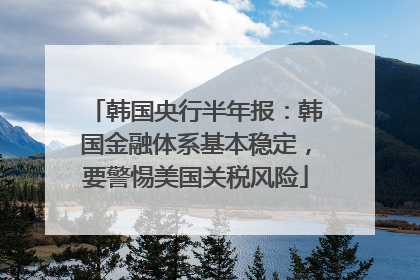 韩国央行半年报：韩国金融体系基本稳定，要警惕美国关税风险