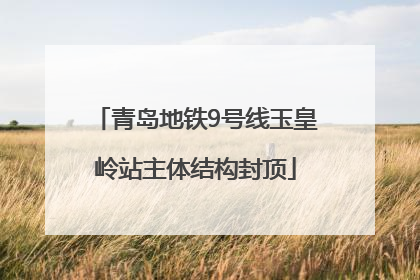青岛地铁9号线玉皇岭站主体结构封顶