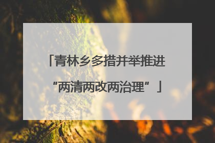 青林乡多措并举推进“两清两改两治理”