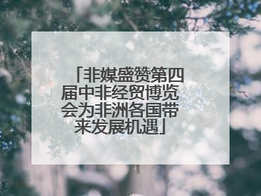 非媒盛赞第四届中非经贸博览会为非洲各国带来发展机遇