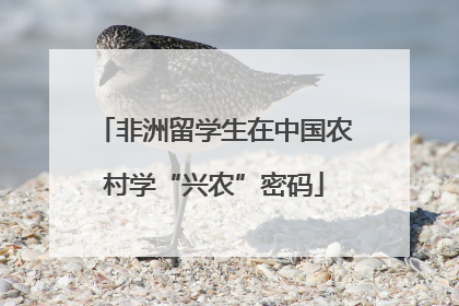 非洲留学生在中国农村学“兴农”密码