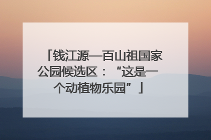 钱江源—百山祖国家公园候选区：“这是一个动植物乐园”