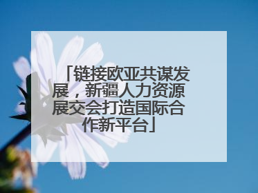 链接欧亚共谋发展，新疆人力资源展交会打造国际合作新平台