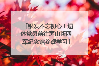 银发不忘初心！退休党员前往茅山新四军纪念馆参观学习