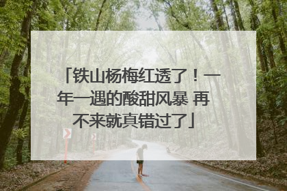 铁山杨梅红透了！一年一遇的酸甜风暴 再不来就真错过了