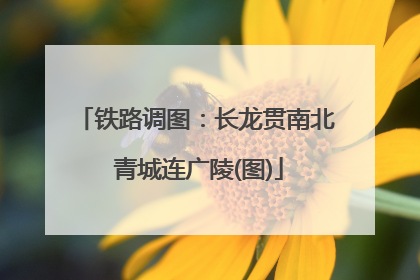 铁路调图：长龙贯南北 青城连广陵(图)