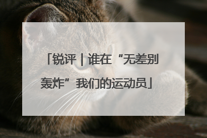 锐评｜谁在“无差别轰炸”我们的运动员