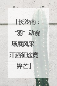 长沙南：“羽”动赛场展风采 汗洒征途竞锋芒