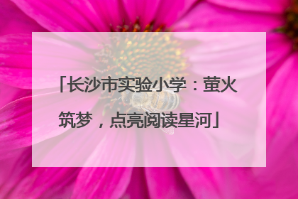 长沙市实验小学：萤火筑梦，点亮阅读星河