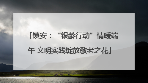 镇安：“银龄行动”情暖端午 文明实践绽放敬老之花