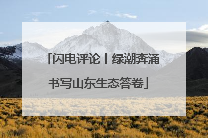 闪电评论丨绿潮奔涌 书写山东生态答卷