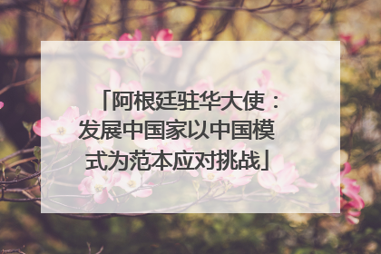 阿根廷驻华大使：发展中国家以中国模式为范本应对挑战