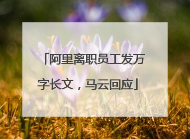 阿里离职员工发万字长文，马云回应
