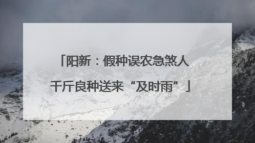 阳新：假种误农急煞人 千斤良种送来“及时雨”