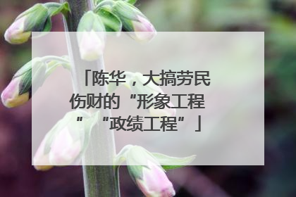陈华，大搞劳民伤财的“形象工程”“政绩工程”