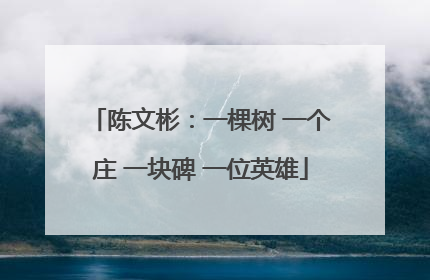 陈文彬：一棵树 一个庄 一块碑 一位英雄