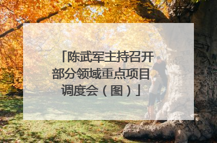 陈武军主持召开部分领域重点项目调度会（图）