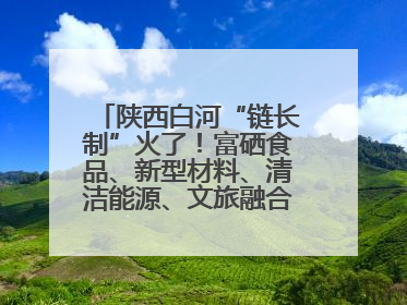 陕西白河“链长制”火了！富硒食品、新型材料、清洁能源、文旅融合齐发力