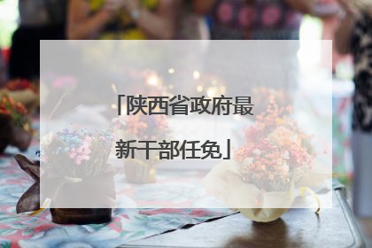 陕西省政府最新干部任免