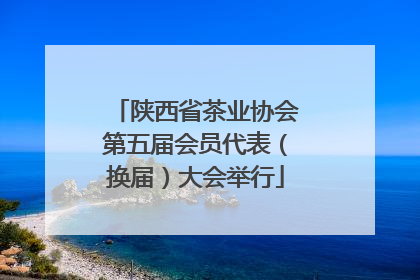 陕西省茶业协会第五届会员代表（换届）大会举行