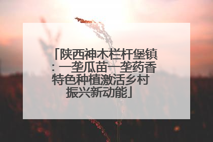 陕西神木栏杆堡镇：一垄瓜苗一垄药香 特色种植激活乡村振兴新动能