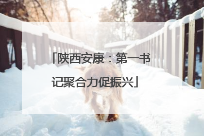 陕西安康：第一书记聚合力促振兴