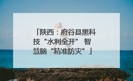 陕西：府谷县黑科技“水利全开” 智慧脑“精准防灾”