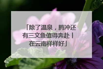 除了温泉，腾冲还有三文鱼值得奔赴丨在云南样样好