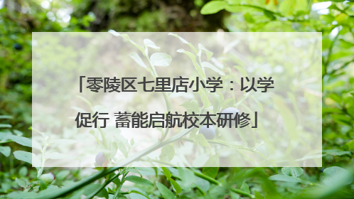 零陵区七里店小学：以学促行 蓄能启航校本研修