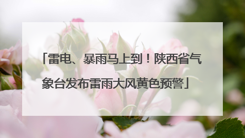 雷电、暴雨马上到！陕西省气象台发布雷雨大风黄色预警