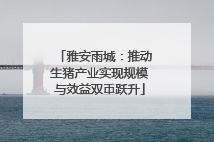 雅安雨城：推动生猪产业实现规模与效益双重跃升