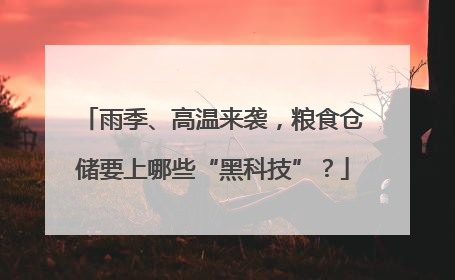 雨季、高温来袭，粮食仓储要上哪些“黑科技”？