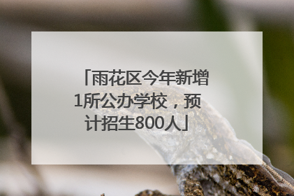 雨花区今年新增1所公办学校，预计招生800人