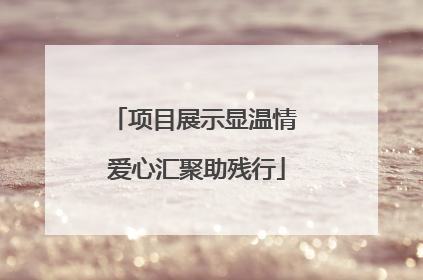 项目展示显温情 爱心汇聚助残行