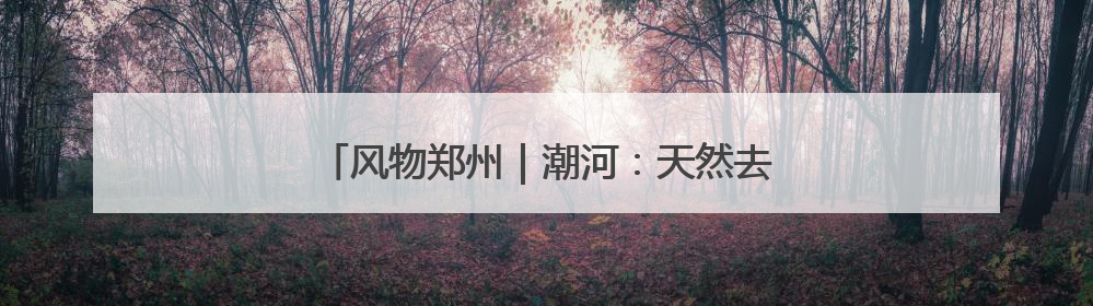 风物郑州｜潮河：天然去雕饰，“潮”平两岸阔