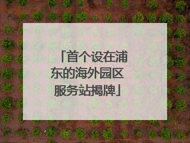 首个设在浦东的海外园区服务站揭牌