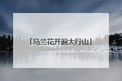 马兰花开遍太行山