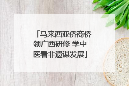 马来西亚侨商侨领广西研修 学中医看非遗谋发展