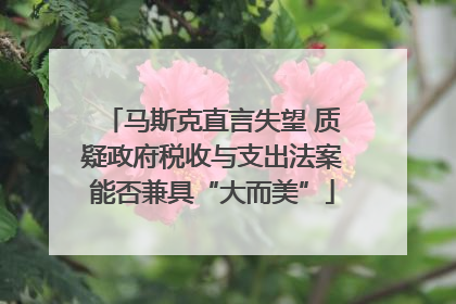马斯克直言失望 质疑政府税收与支出法案能否兼具“大而美”