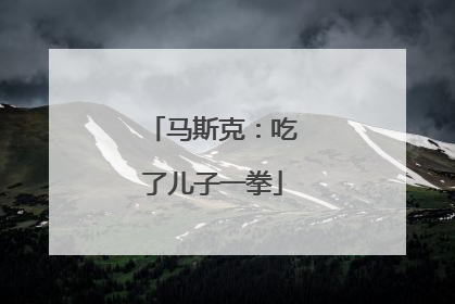 马斯克：吃了儿子一拳