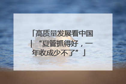 高质量发展看中国｜“夏管抓得好，一年收成少不了”