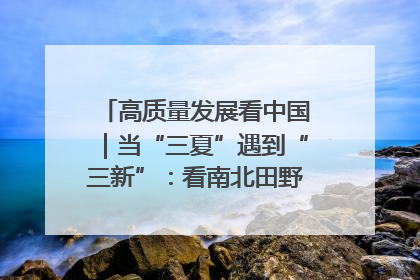 高质量发展看中国｜当“三夏”遇到“三新”：看南北田野里的科技共生记
