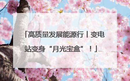 高质量发展能源行丨变电站变身“月光宝盒”！