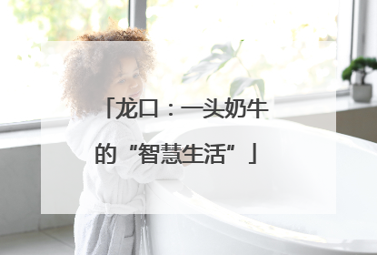 龙口：一头奶牛的“智慧生活”